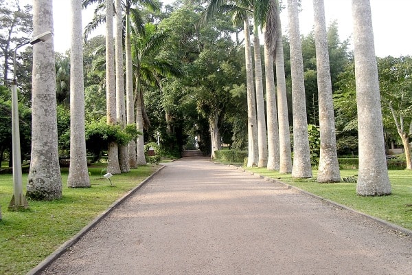 Aburi Garden Africa Ghana