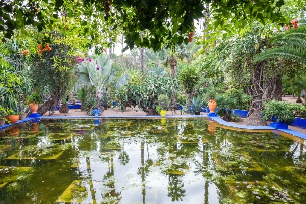 Jardin Garden Africa tourist attraction