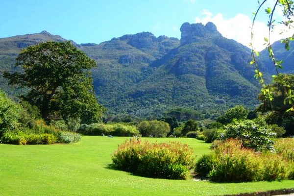 Kirstenbosch Garden