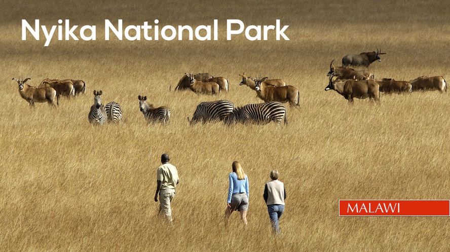 Nyika National Park, Malawi: Offbeat Tourist Destination
