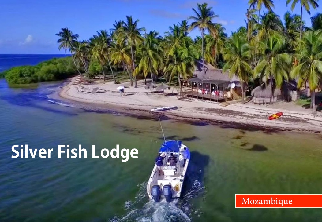 Mozambique's Hidden Paradise: Silver Fish Lodge