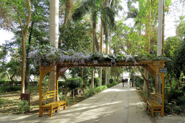 Aswan garden tourist
