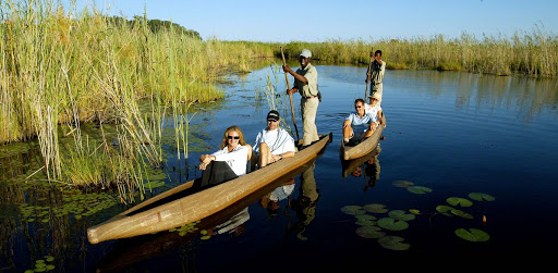 Botswana: Africa's Best Wildlife Safari Destination