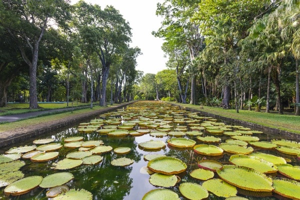 Top 10 Gardens in Africa