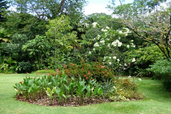 seychelles-garden-tourist