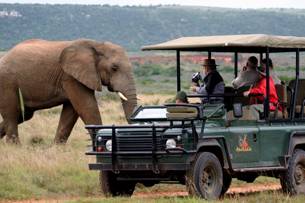 tourism africa